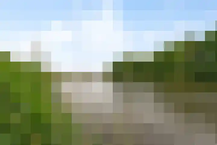van der Maelstedeweg 80 Hulst thumbnail 25