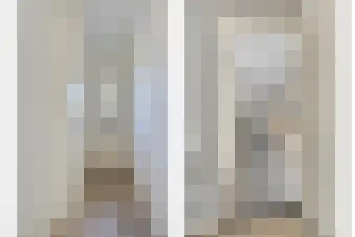 van der Maelstedeweg 80 Hulst thumbnail 4