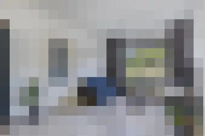 van der Maelstedeweg 80 Hulst thumbnail 5