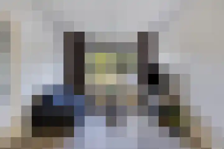van der Maelstedeweg 80 Hulst thumbnail 6