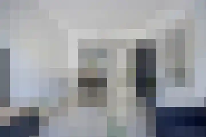 van der Maelstedeweg 80 Hulst thumbnail 7