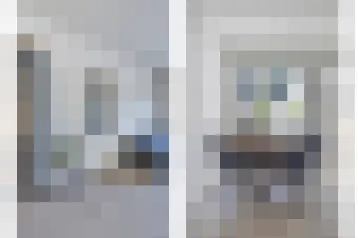 van der Maelstedeweg 80 Hulst thumbnail 8