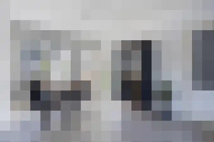 van der Maelstedeweg 80 Hulst thumbnail 9