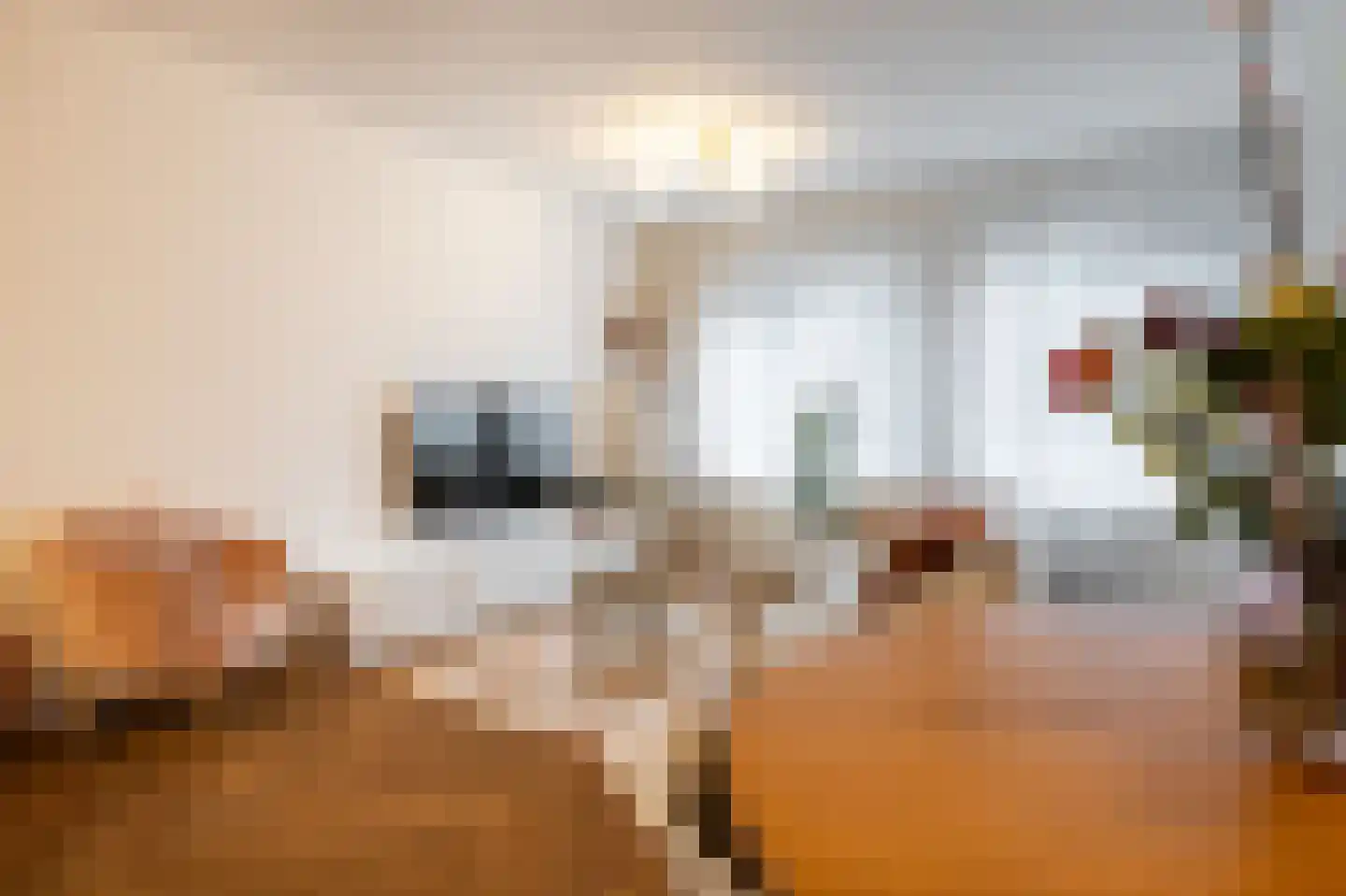 Van der Maesenstraat 24 Heerlen thumbnail 7