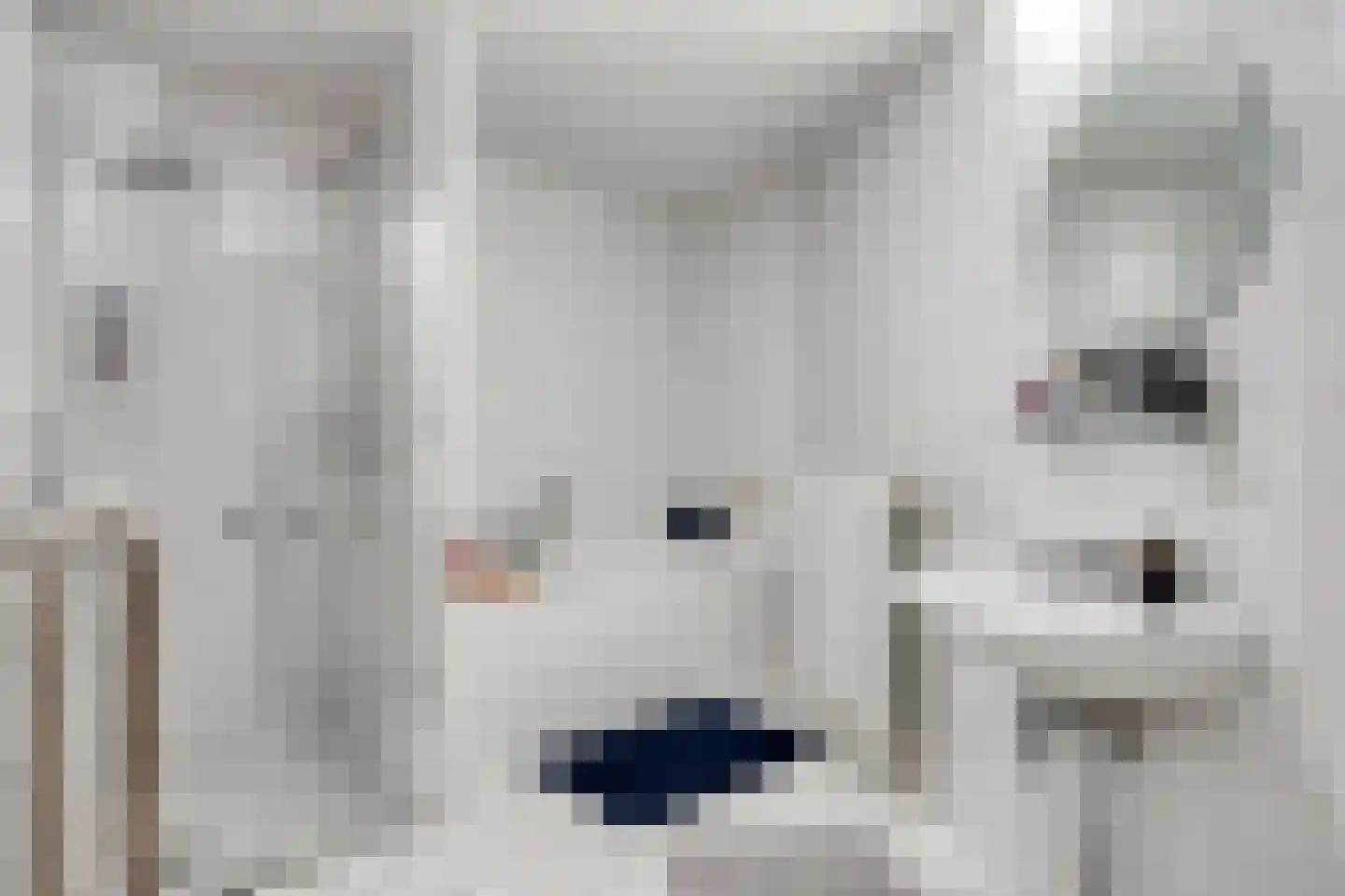 Van der Maesenstraat 6 Heerlen thumbnail 18