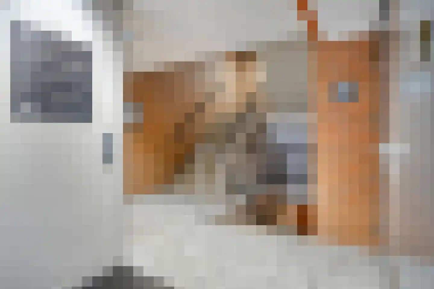 Van der Maesenstraat 6 Heerlen thumbnail 28