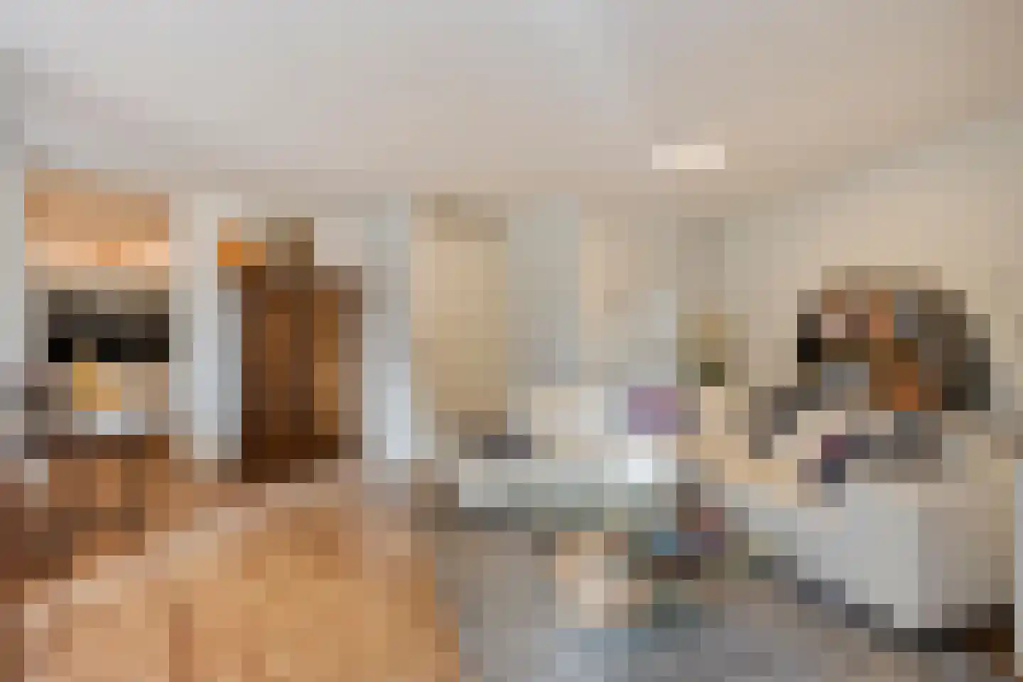 Van der Maesenstraat 6 Heerlen thumbnail 4
