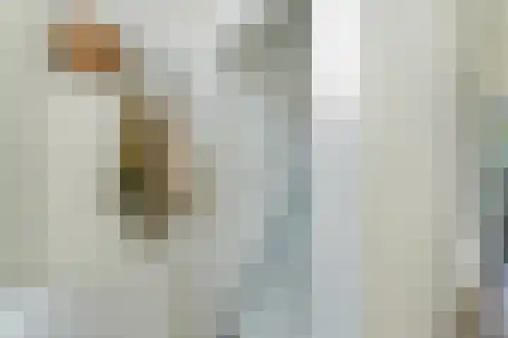 Van der Manderestraat 19 Vlissingen thumbnail 6