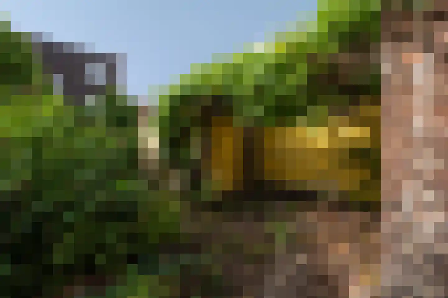 Van der Manderestraat 6 Vlissingen thumbnail 30