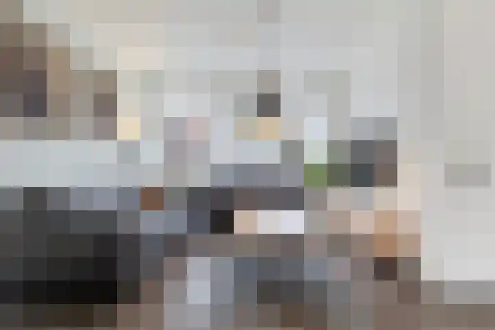 van der Marckstraat 12 Maasbree thumbnail 13