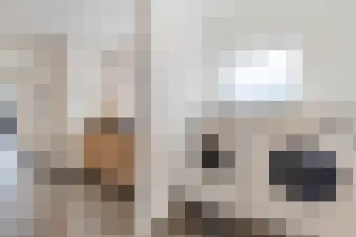 van der Marckstraat 12 Maasbree thumbnail 24