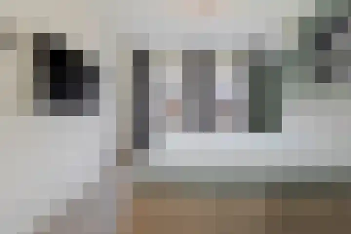 van der Marckstraat 12 Maasbree thumbnail 30