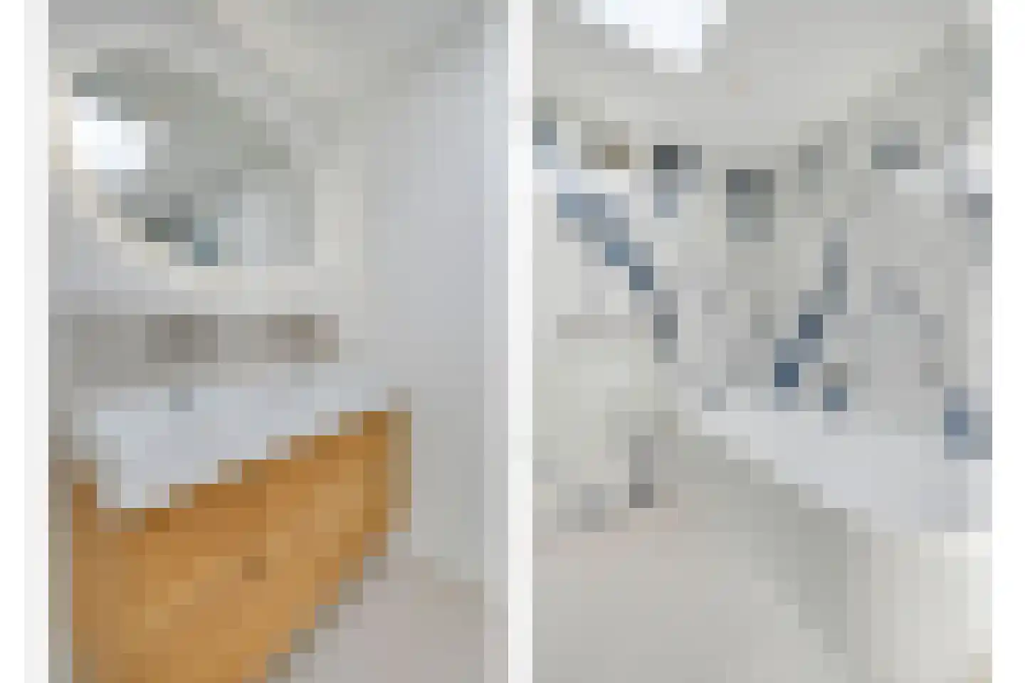 van der Marckstraat 41 Voorburg thumbnail 35