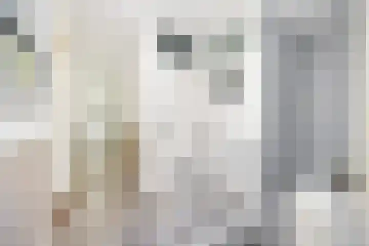 van der Marckstraat 5 Voorburg thumbnail 7