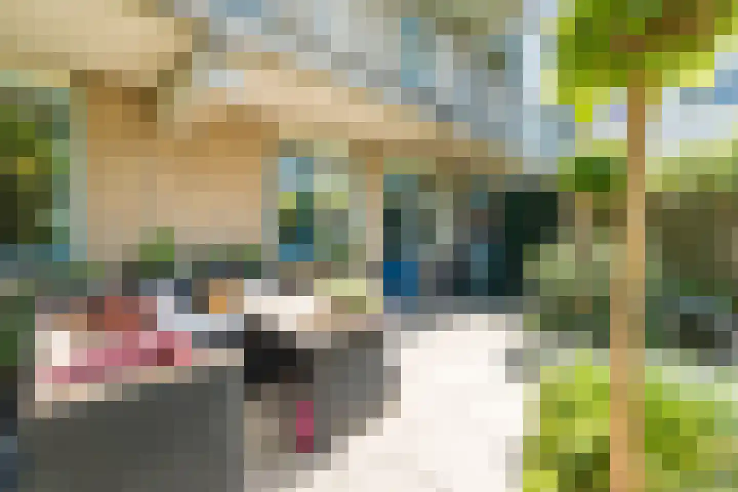 Van der Marckstraat 66 Utrecht thumbnail 18