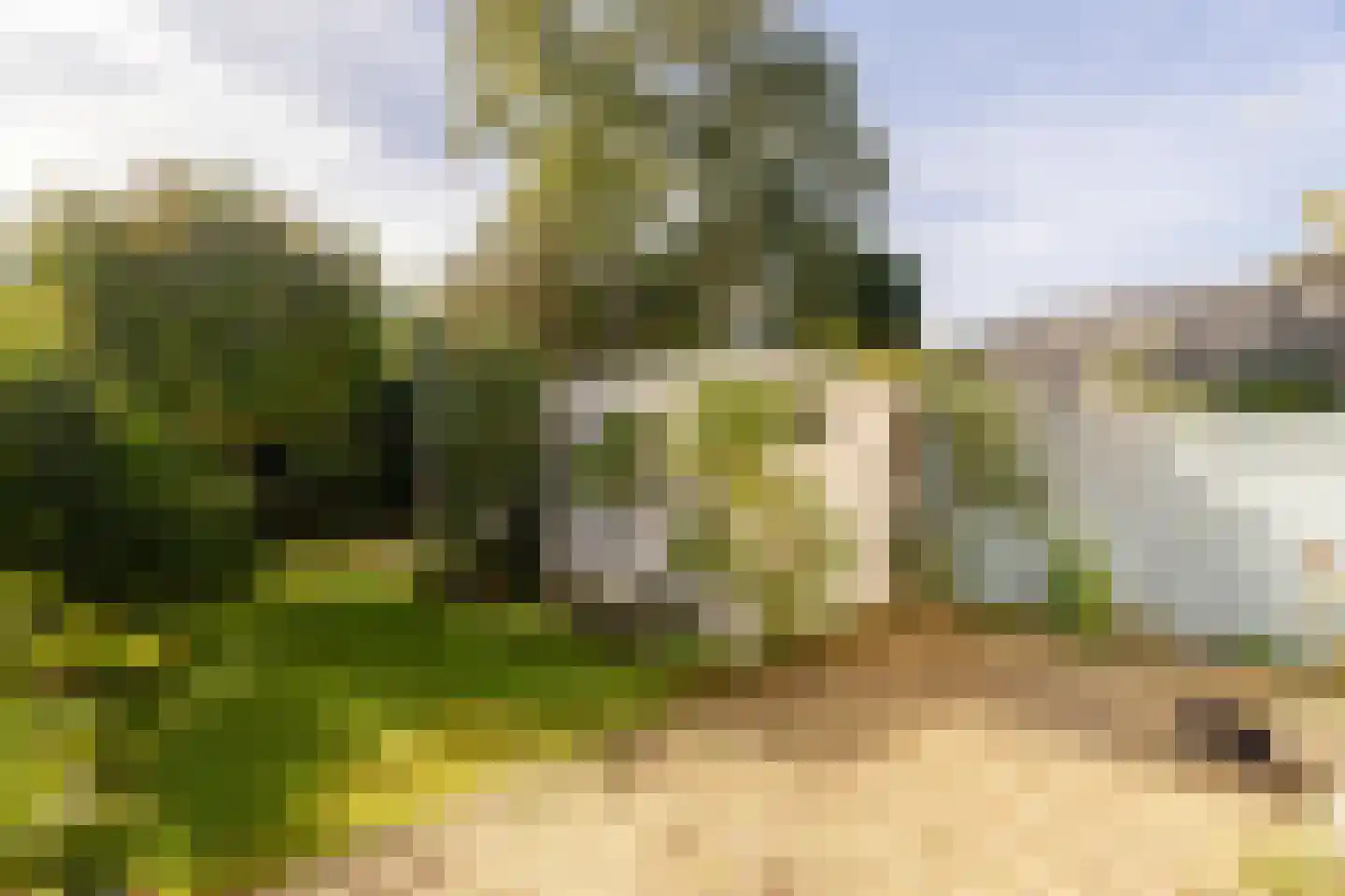Van der Marckstraat 7 Wassenaar thumbnail 20