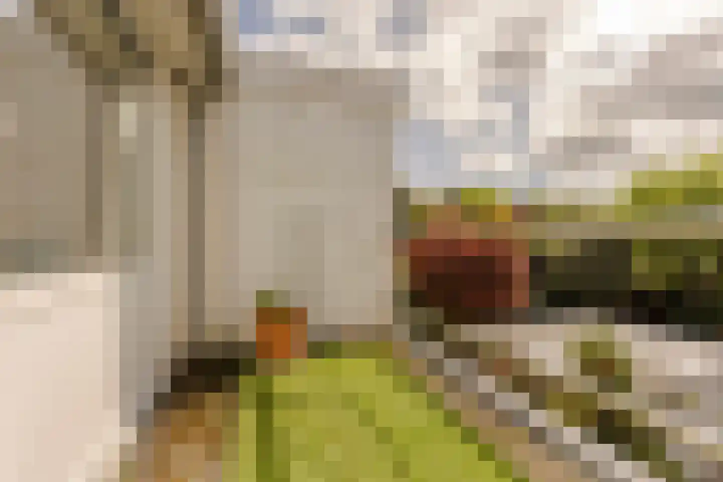 Van der Marckstraat 7 Wassenaar thumbnail 30