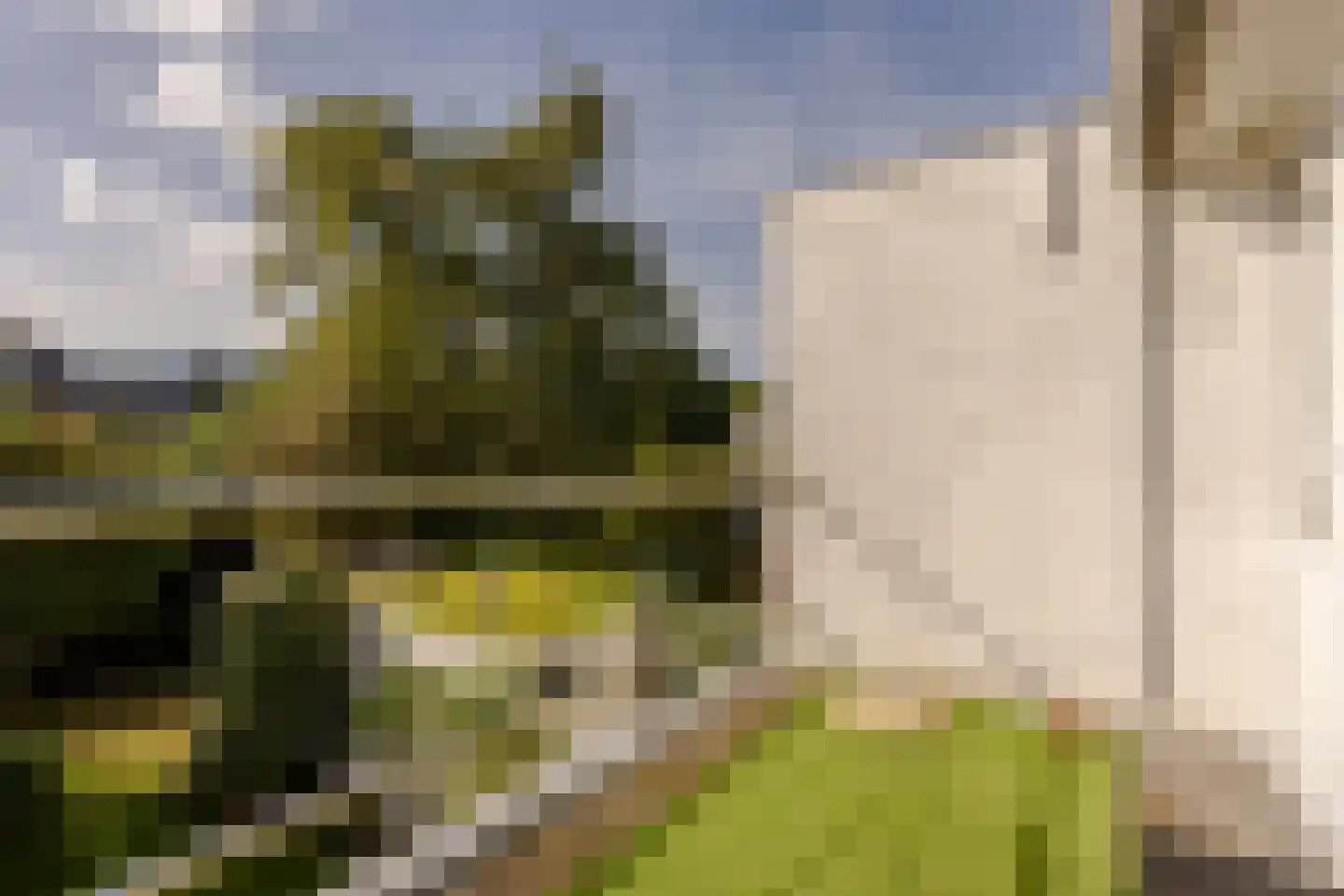 Van der Marckstraat 7 Wassenaar thumbnail 31
