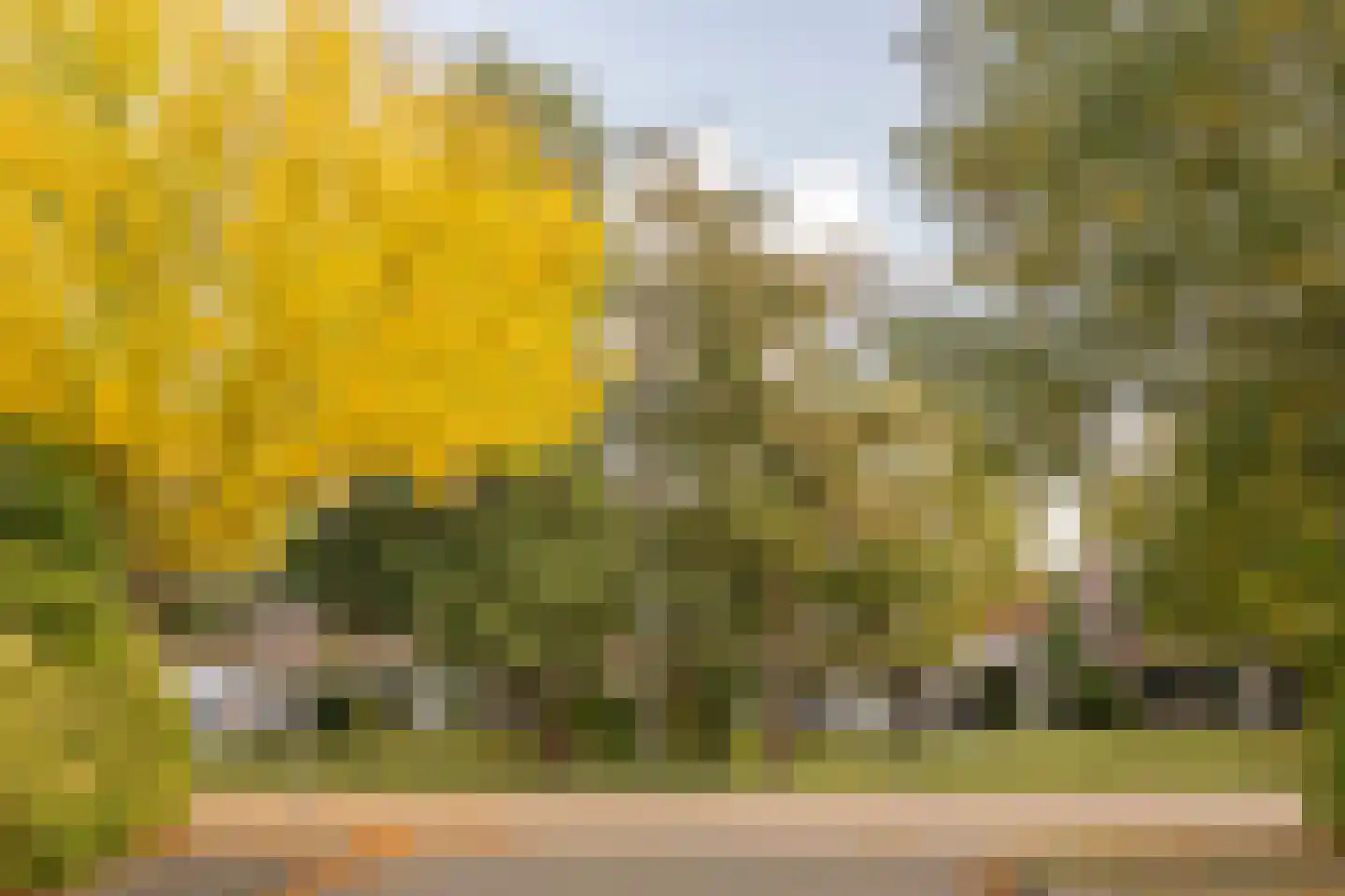Van der Marckstraat 7 Wassenaar thumbnail 45