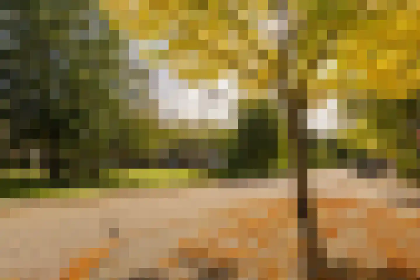 Van der Marckstraat 7 Wassenaar thumbnail 46