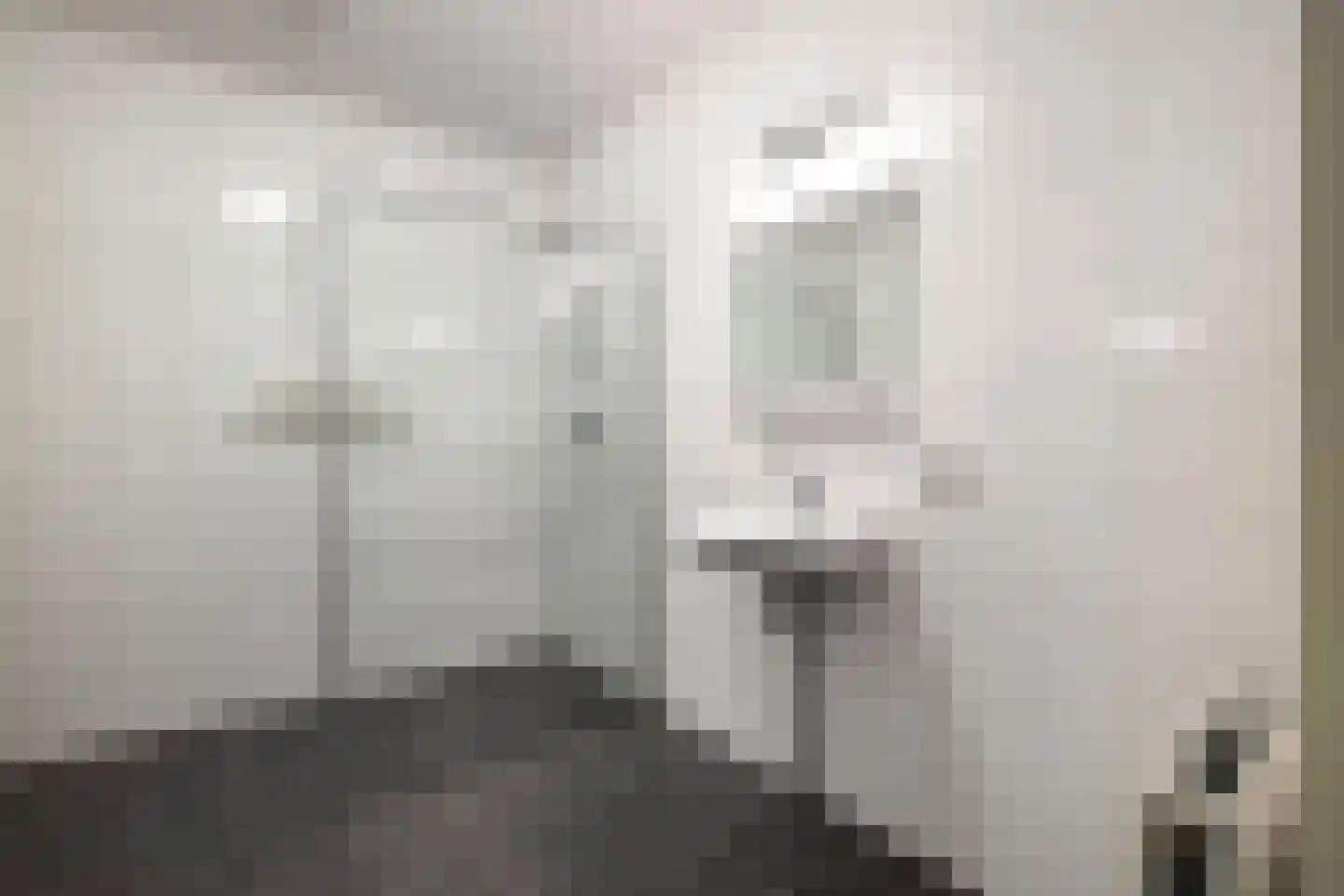 Van der Marelstraat 6 Honselersdijk thumbnail 5