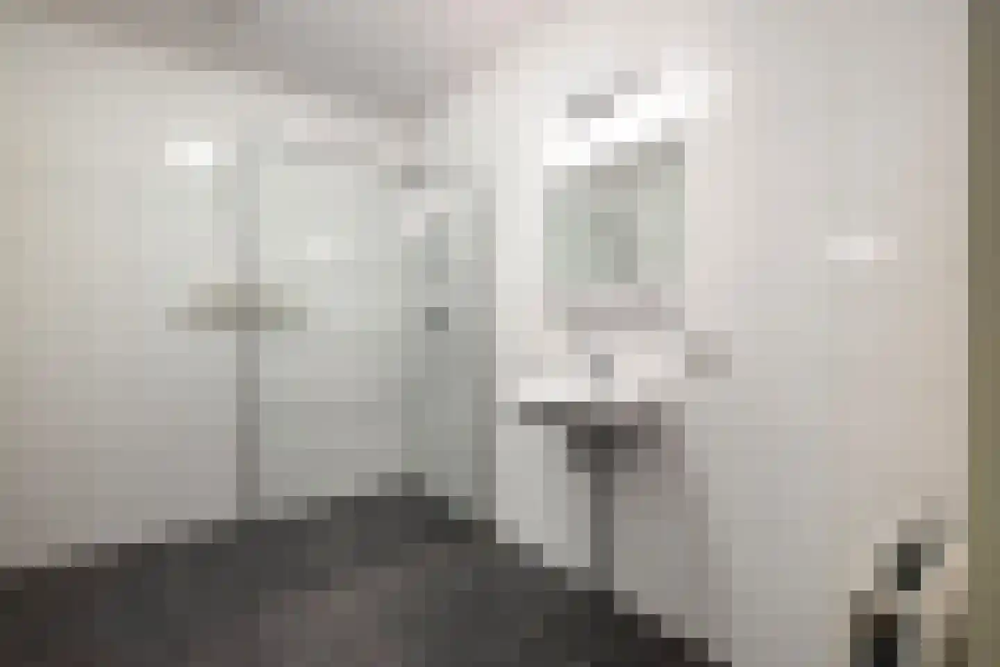 Van der Marelstraat 6 Honselersdijk thumbnail 5