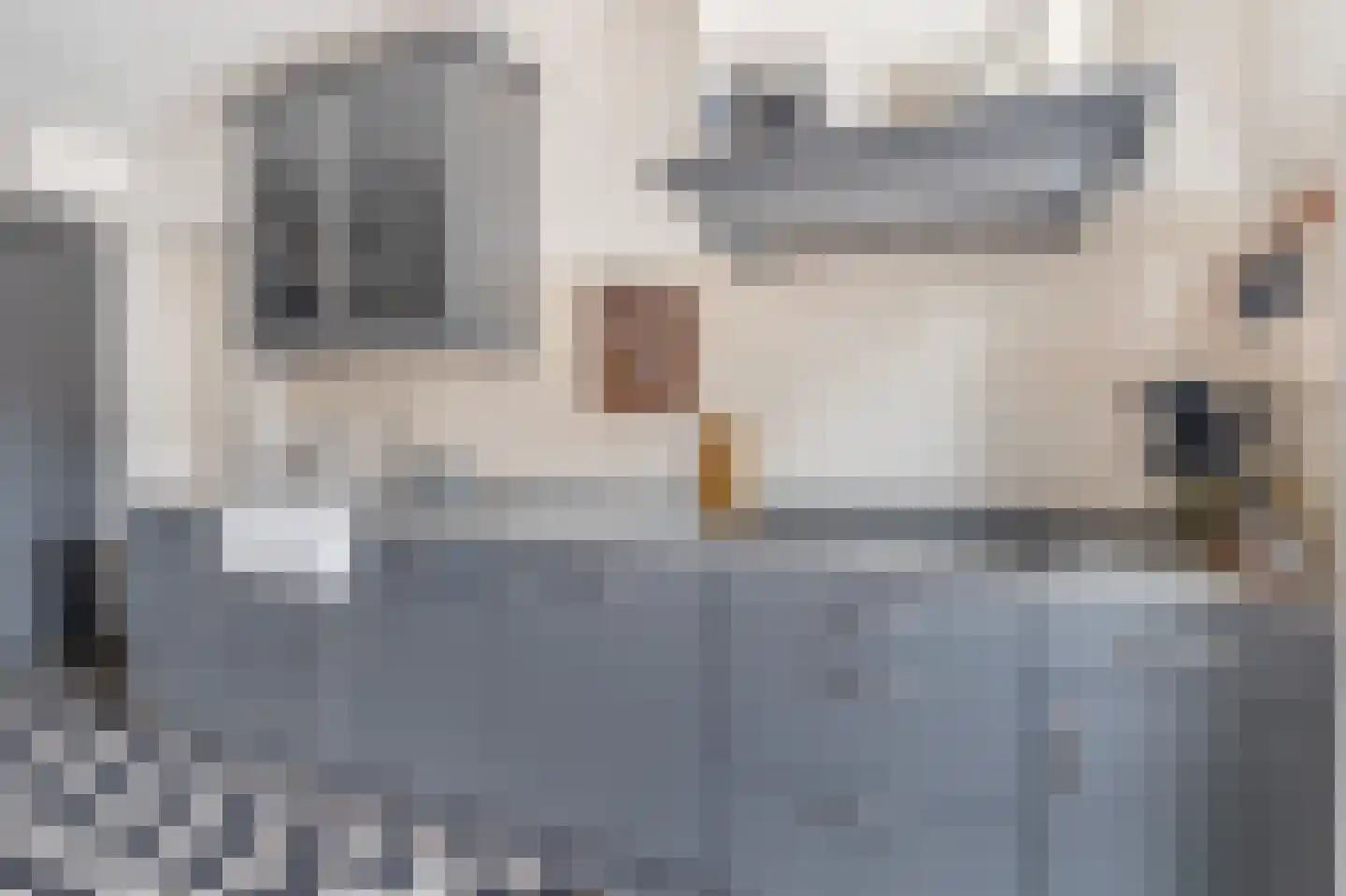 van der Markstraat 2 Zevenbergen thumbnail 15