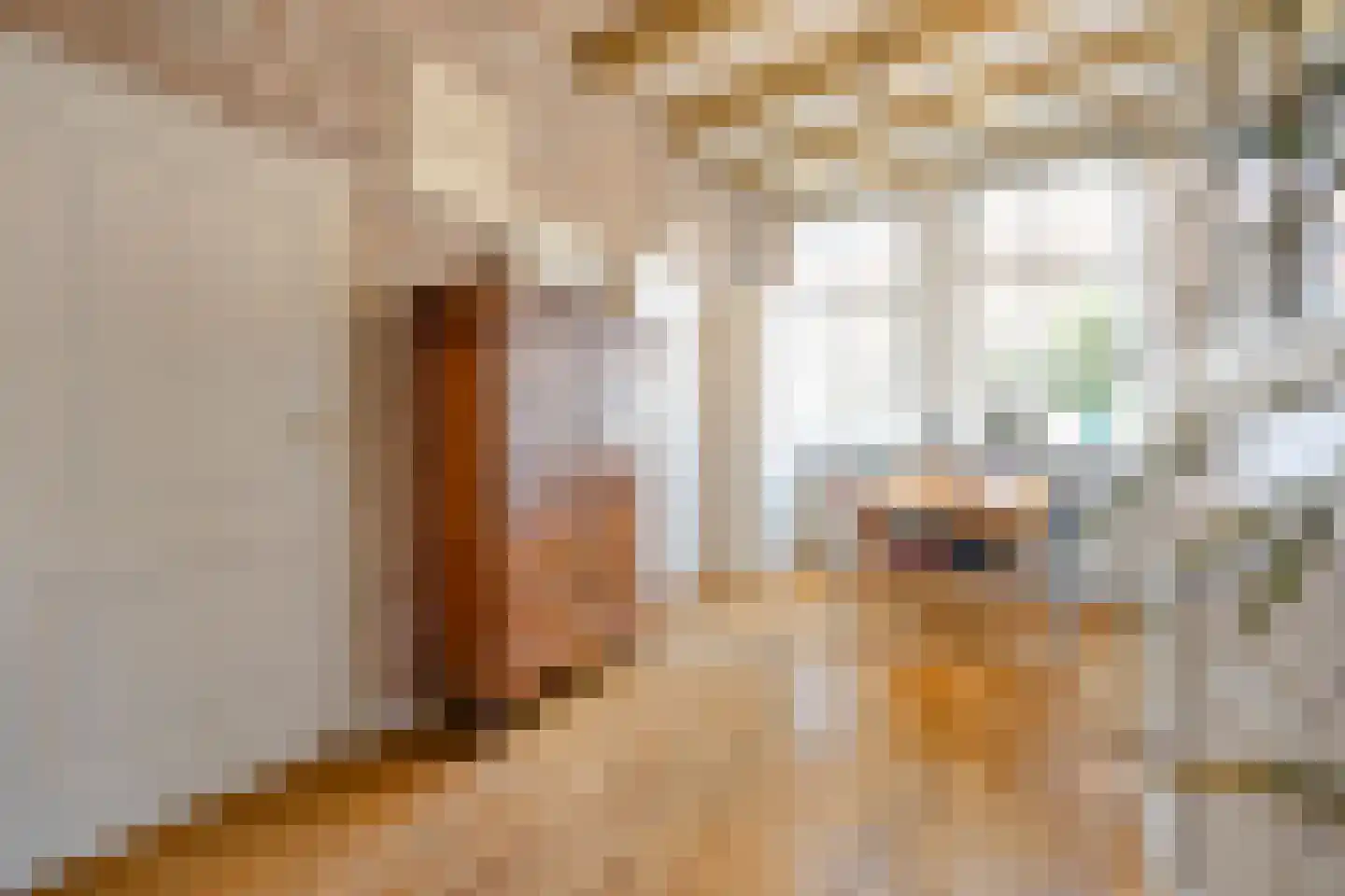 Van der Mastenstraat 39 Delft thumbnail 11
