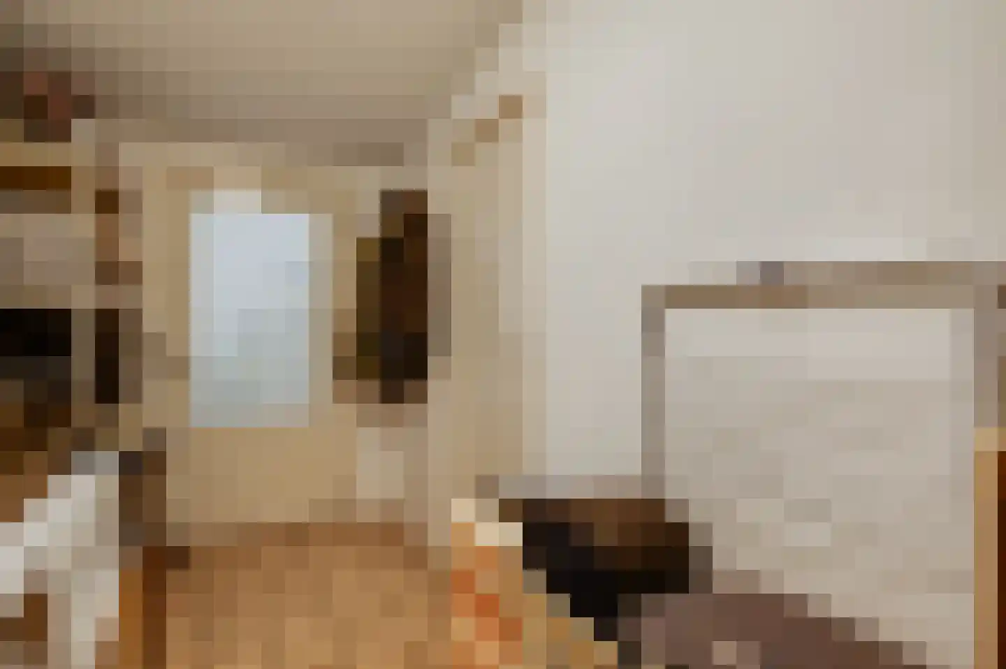 Van der Meerstraat 5 Heythuysen thumbnail 17