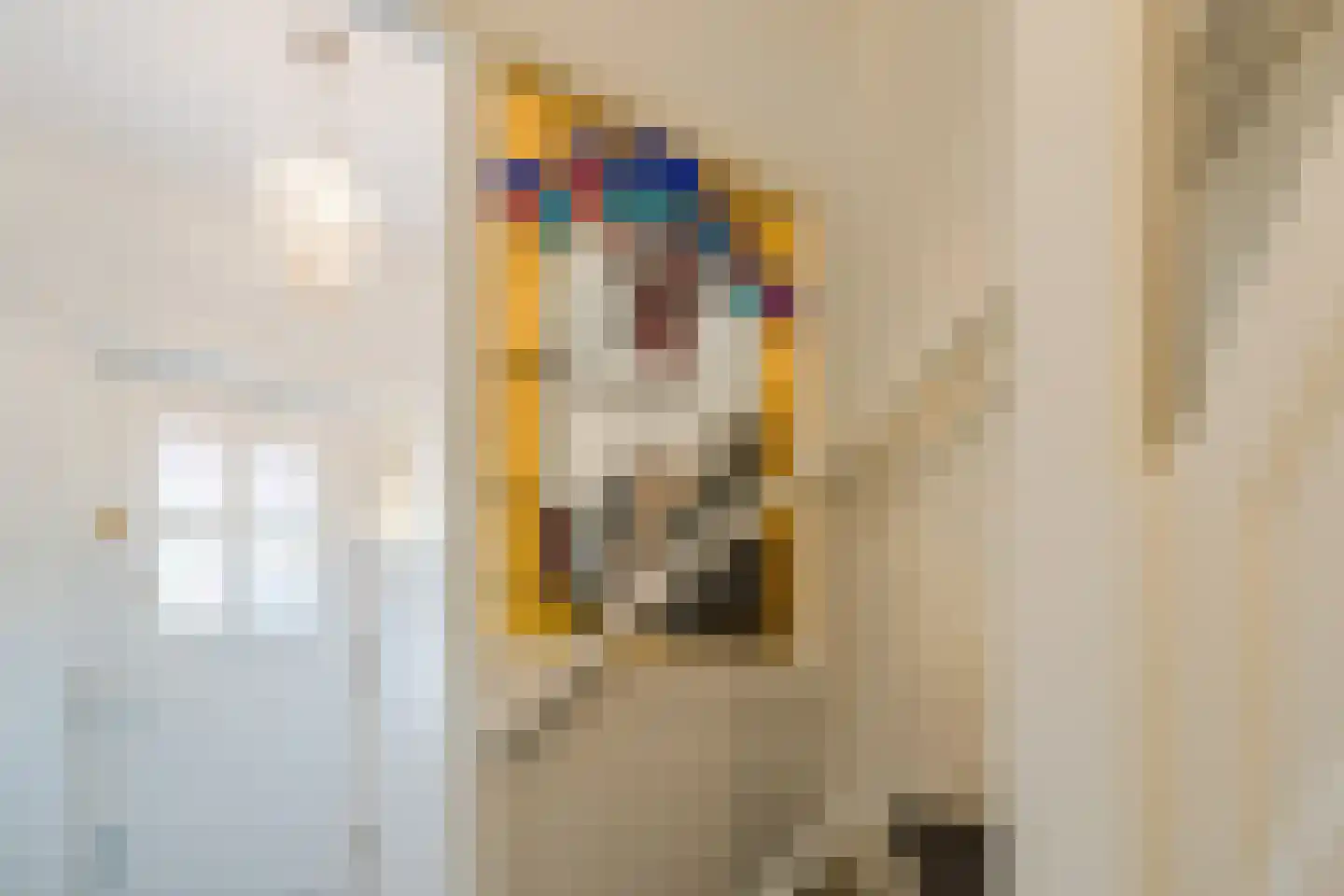 Van der Meerstraat 9 Haarlem thumbnail 4