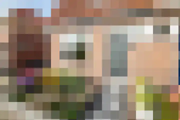 van der Meulenstraat 11 Zwartsluis thumbnail 10