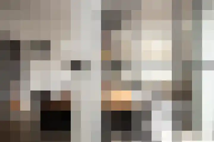 van der Meulenstraat 11 Zwartsluis thumbnail 12