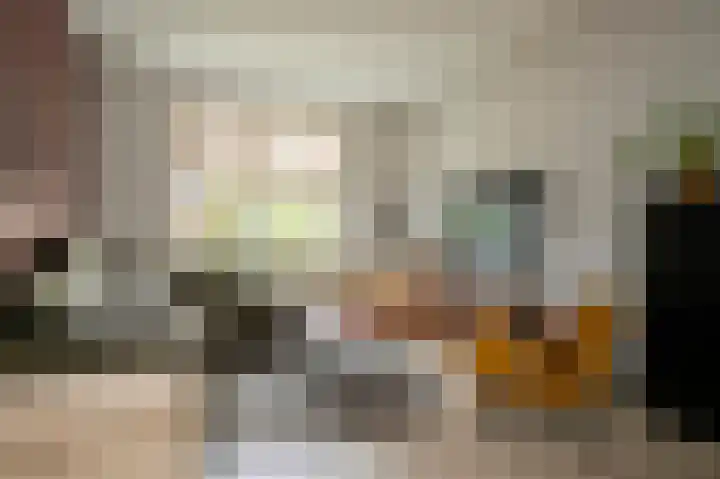 van der Meulenstraat 11 Zwartsluis thumbnail 13