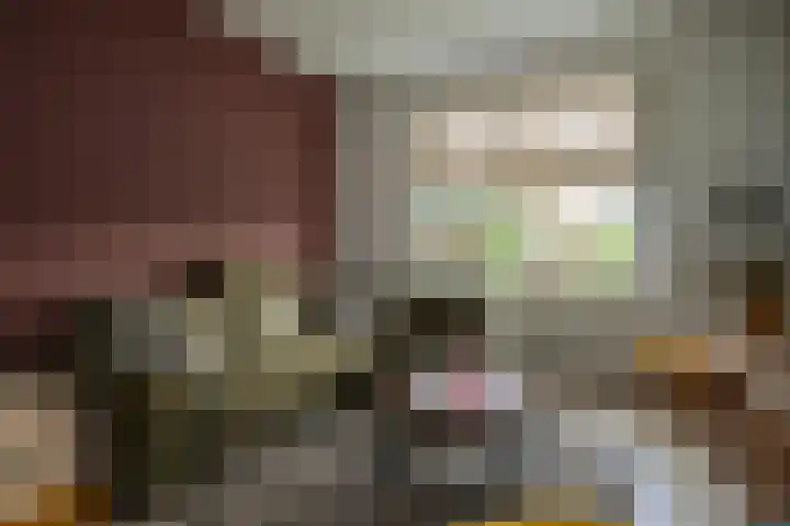 van der Meulenstraat 11 Zwartsluis thumbnail 14