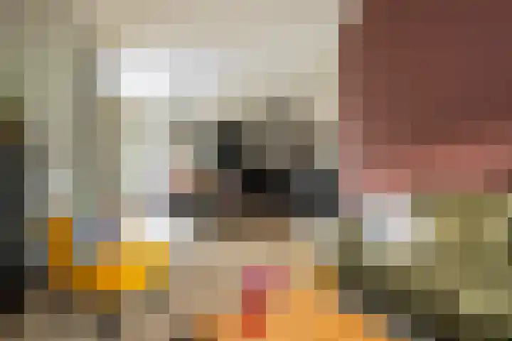 van der Meulenstraat 11 Zwartsluis thumbnail 15