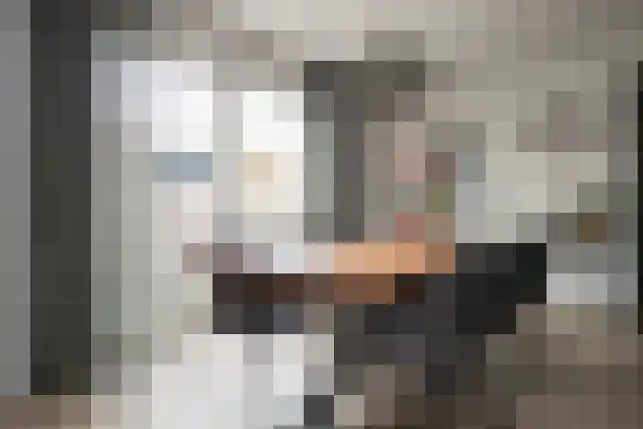 van der Meulenstraat 11 Zwartsluis thumbnail 16