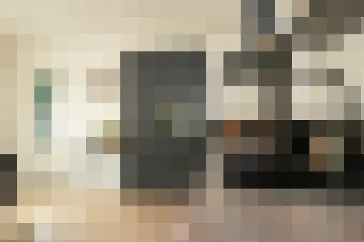 van der Meulenstraat 11 Zwartsluis thumbnail 18