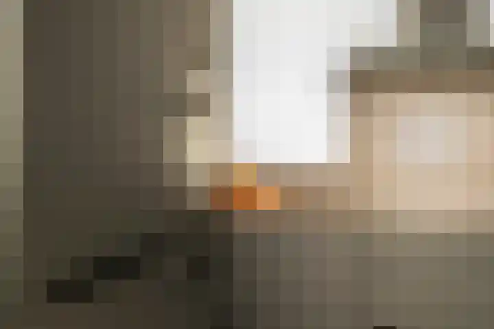 van der Meulenstraat 11 Zwartsluis thumbnail 19