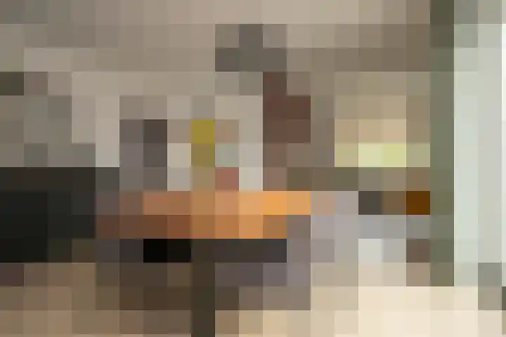 van der Meulenstraat 11 Zwartsluis thumbnail 21