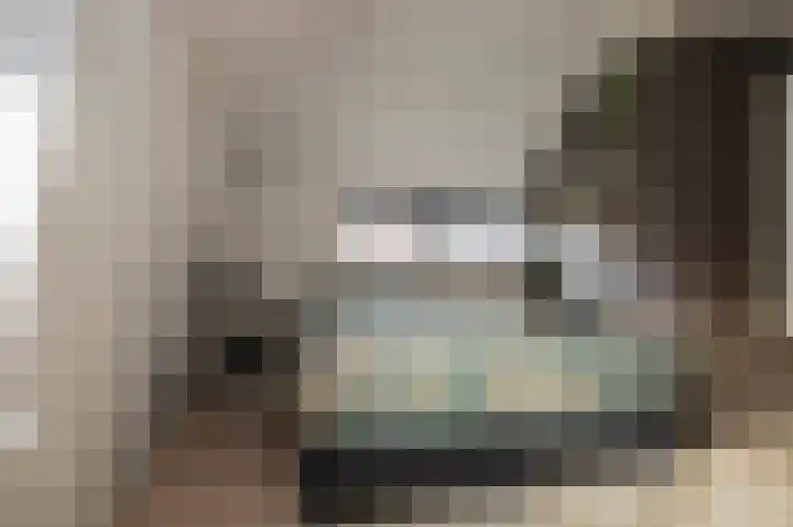 van der Meulenstraat 11 Zwartsluis thumbnail 31