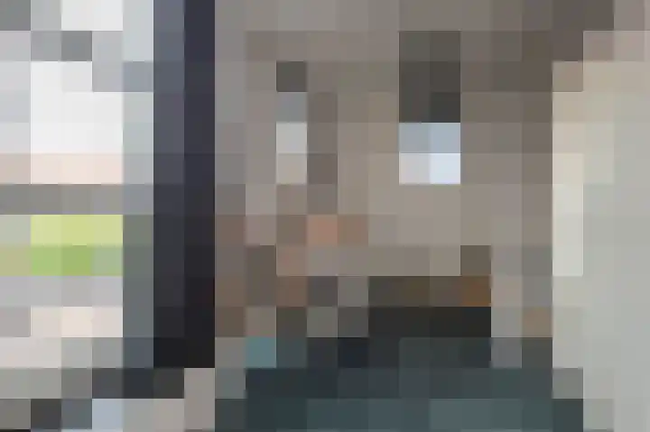 van der Meulenstraat 11 Zwartsluis thumbnail 32
