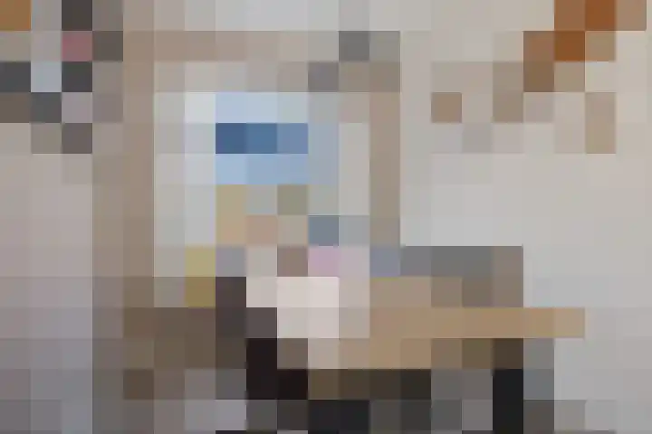 van der Meulenstraat 3 Zwartsluis thumbnail 16