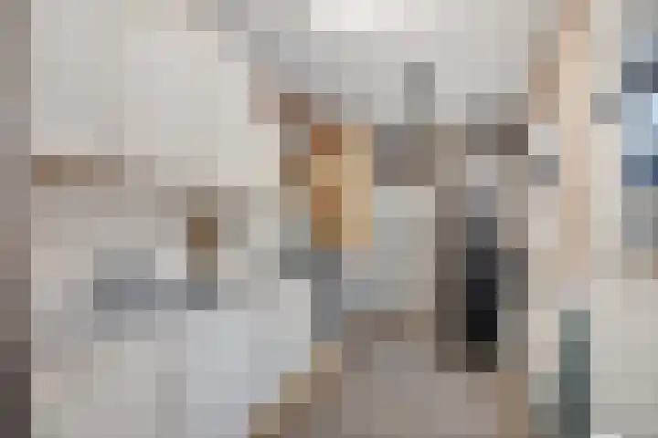 van der Meulenstraat 3 Zwartsluis thumbnail 18