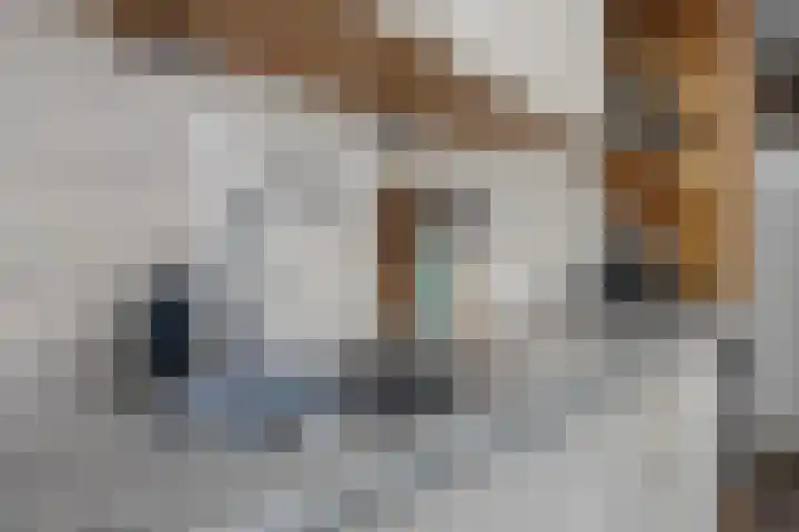 van der Meulenstraat 3 Zwartsluis thumbnail 19
