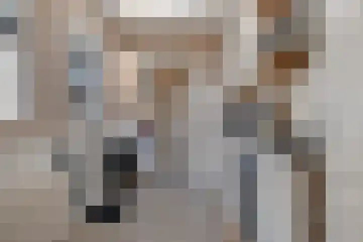van der Meulenstraat 3 Zwartsluis thumbnail 20