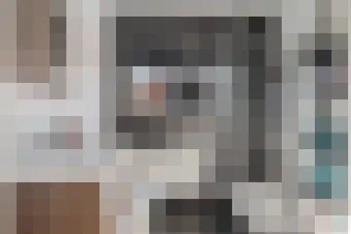 van der Meulenstraat 3 Zwartsluis thumbnail 29