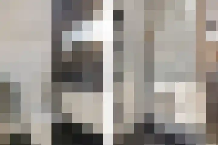 van der Meulenstraat 3 Zwartsluis thumbnail 31
