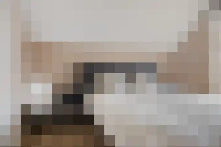 van der Meulenstraat 3 Zwartsluis thumbnail 34