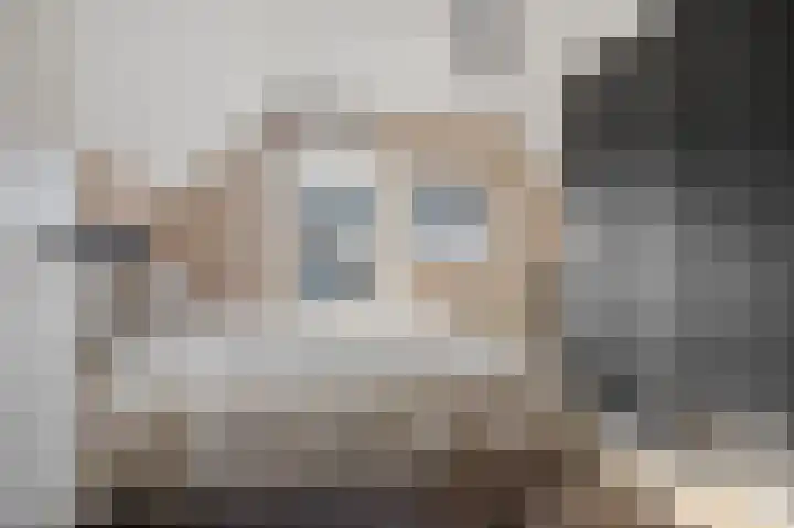van der Meulenstraat 3 Zwartsluis thumbnail 35