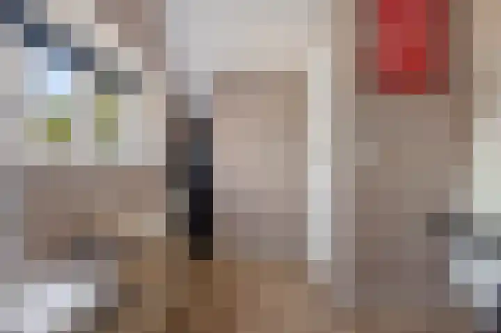 van der Meulenstraat 3 Zwartsluis thumbnail 37